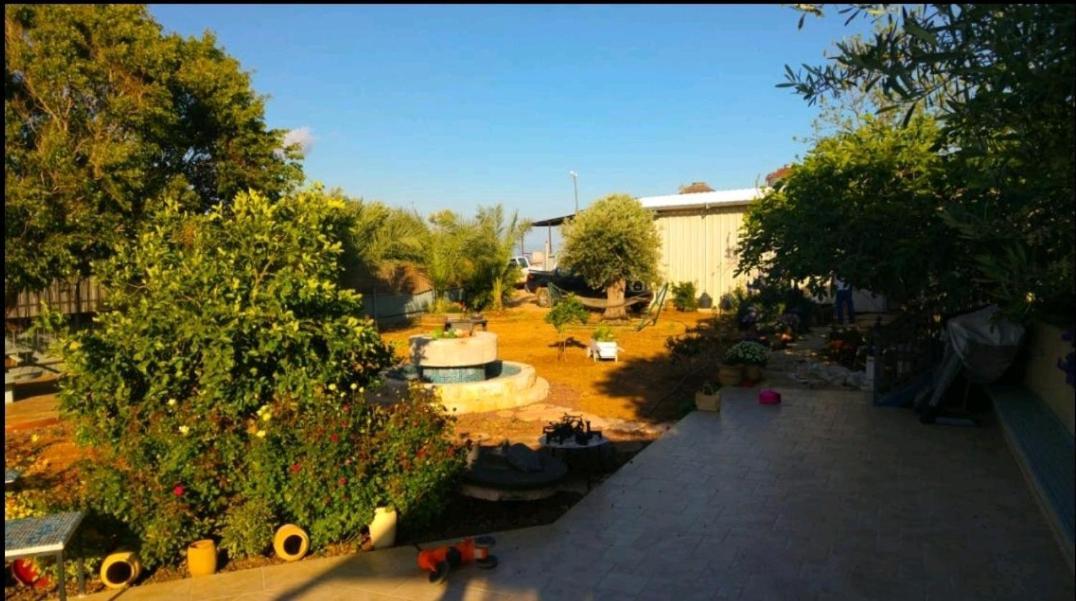 Апартаменты בחצר של טובה Hazon Экстерьер фото